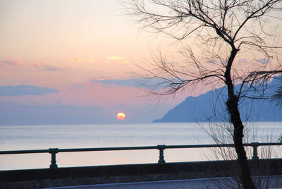 Silhouette bare tree by sea against sky during sunset