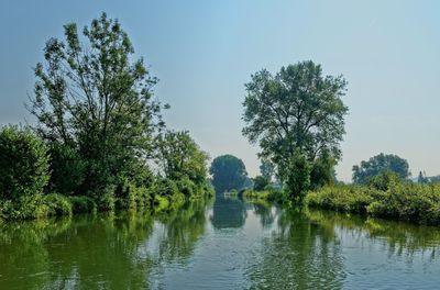 Scenic view of lake in forest against clear sky