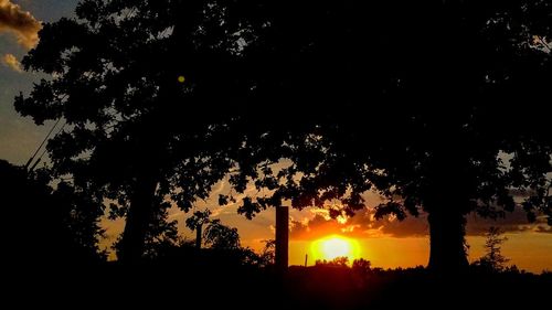 Silhouette trees on field against sky during sunset