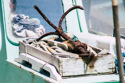Cat sleeping in a dog