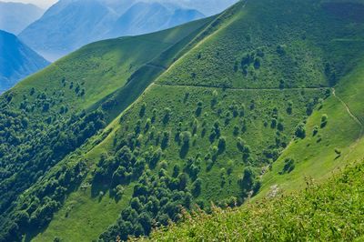 High angle view of green landscape