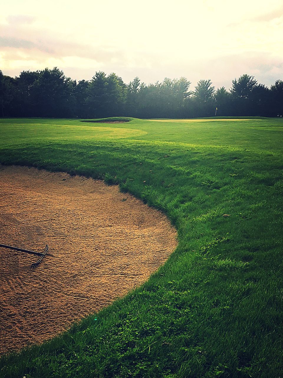 VIEW OF GOLF COURSE