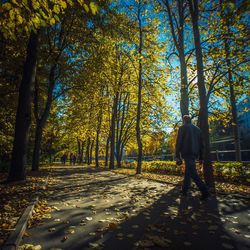 Man walking by trees in forest during autumn