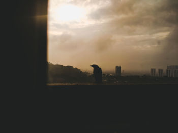 Silhouette of man looking at sunset