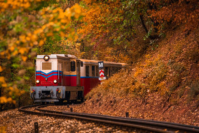 Train on railroad tracks during autumn