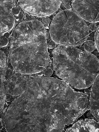 Full frame shot of water