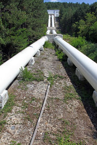 High angle view of bridge over plants