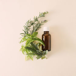 Bottle of essential oil with fresh basil, rosemary and sage twigs on a white background. 