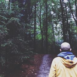 People standing on tree trunk in forest