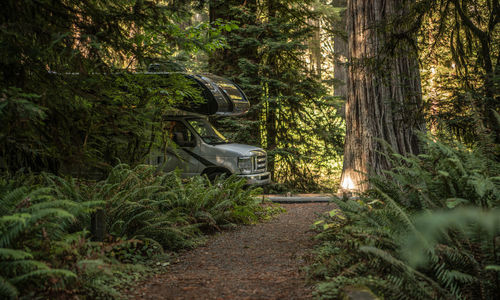 Camper van in forest