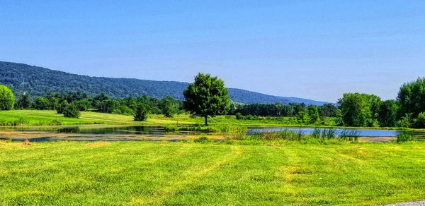 Scenic view of grassy field by mountains against clear sky