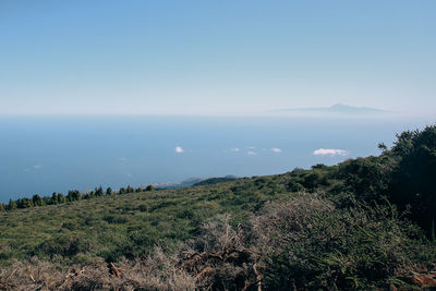 Scenic view of landscape against clear sky