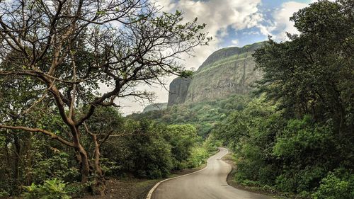 Road amidst trees and plants against sky