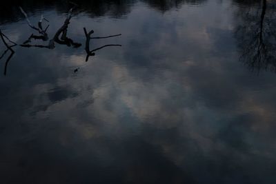 Reflection of silhouette tree in lake against sky