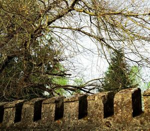 Built structure with trees in background