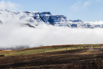 Scenic view of snowcapped field against sky