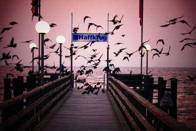 Pier over sea against clear sky