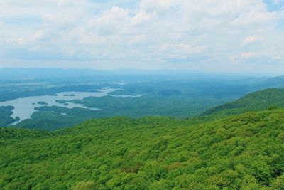 Scenic view of green landscape against sky