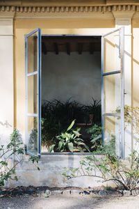 Window of abandoned building