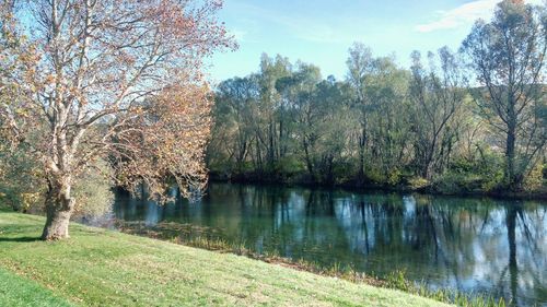 Scenic view of lake by trees against sky