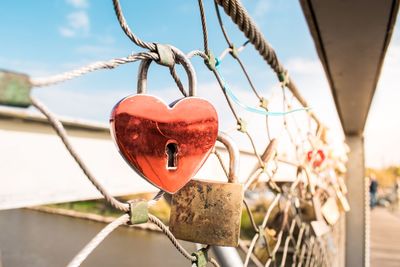 Close-up of love padlocks hanging on rope