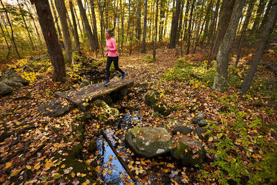 Rear view of woman walking in forest