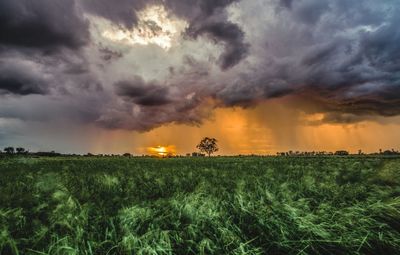 Scenic view of field against sky during sunset