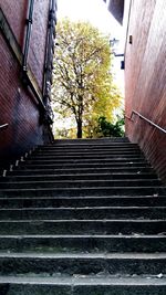 View of staircase