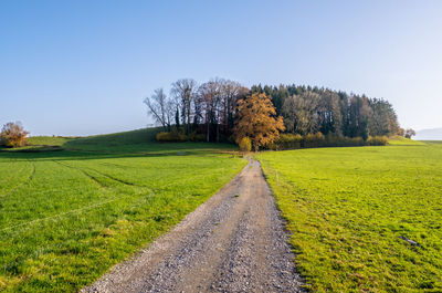 Road amidst field against clear sky during autumn