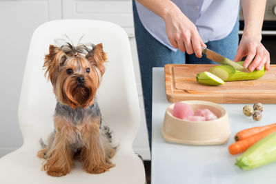 Cropped hand of man with dog