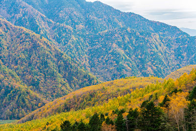 Scenic view of tree mountains against sky