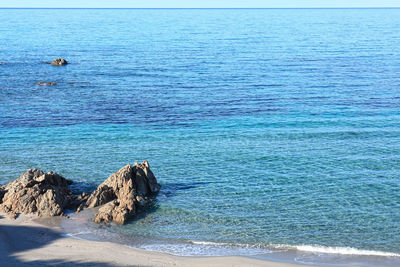 Scenic view of sea shore