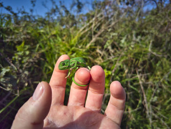 hand