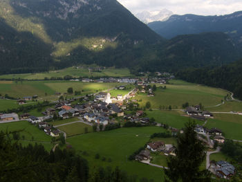 High angle view of trees and houses on field
