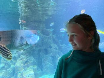 Close-up of fish swimming in aquarium