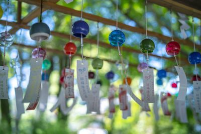 Close-up of decorations hanging on tree