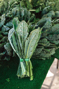 High angle view of vegetables