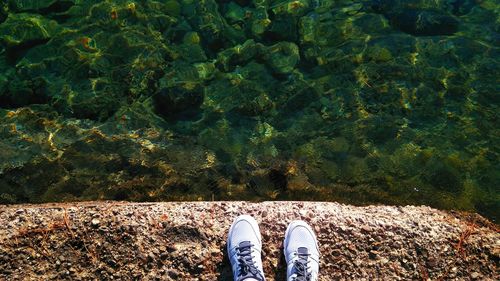 Low section of person standing on shore