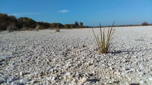 Surface level of landscape