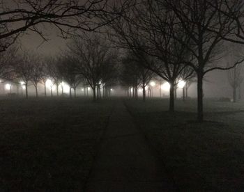 Street light at night