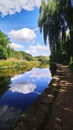 Reflection of trees in water against sky