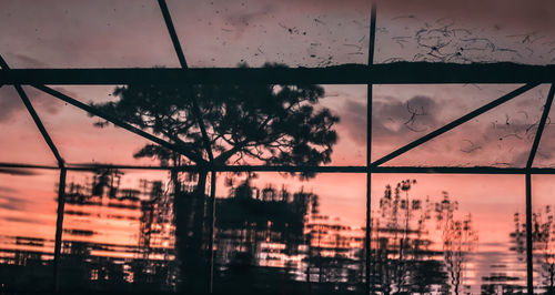 Silhouette trees against sky during sunset