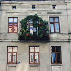 Low angle view of potted plants on apartment window