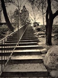 Staircase in forest