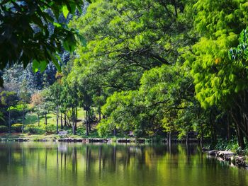 Scenic view of lake