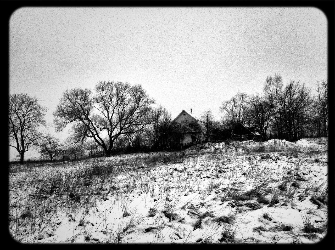 bare tree, tree, built structure, field, transfer print, architecture, landscape, building exterior, clear sky, house, tranquil scene, winter, tranquility, auto post production filter, snow, nature, cold temperature, sky, scenics, beauty in nature