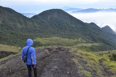 Rear view of man looking at mountains