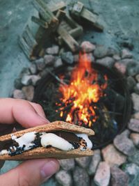 Cropped hand holding ice cream sandwich over bonfire