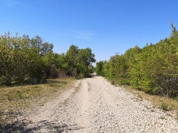 Dirt road amidst trees against sky
