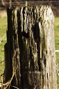 Close up of wood